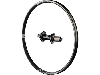 Black One rear wheel, Base hub, Shi Grey 29", Boost 148x12 mm
