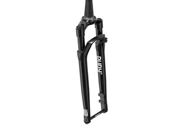 RockShox Rudy XL Ultimate Race Day 2 50mm, schwarz, komisch 45mm Offset, 12x100