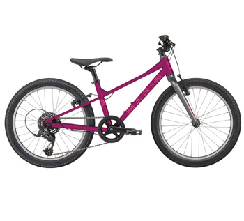 ROWER MARIN COAST TRAIL 24" FIOLETOWY