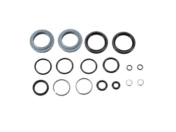 AM  Fork Service Kit, Basic (includes dust seals, foam rings, o-ring seals) - Ly
