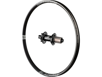 Black One rear wheel, Base hub, Shi Grey 29", 142x12 mm