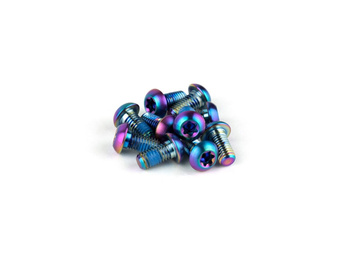 Rotor Bolt Kit - Titanium T25, Rainbow Bolts (Qty 12)
