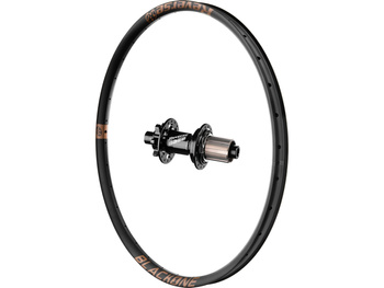 Black One rear wheel, Base hub, Shi Copper 29", 142x12 mm