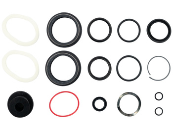 200 Hour/1 Year Service Kit (Includes Dust Seals, Foam Rings, O-Ring Seals, Sa S