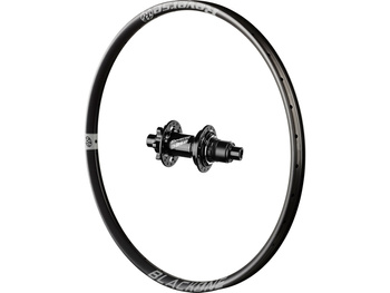 Black One rear wheel, Base hub, Sra Grey 29", 142x12 mm