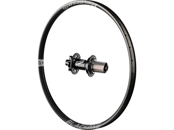 Black One rear wheel, Base hub, Shi Grey 27.5", 135x12 mm