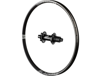Black One rear wheel, Base hub, Shi Grey 29", Boost 148x12 mm