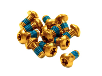 REVERSE Disc Rotor Bolt Set - 12 pc gold
