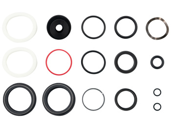 200 Hour/1 Year Service Kit (Includes Dust Seals, Foam Rings, O-Ring Seals) - Re