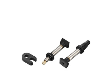 Tubeless Universal Valve, Removable Valve Core  (includes 1 tubeless valve & 1 v